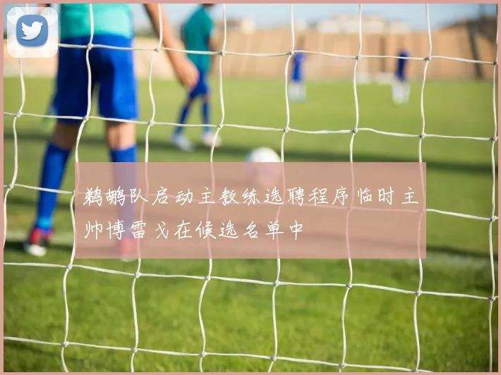 鹈鹕队启动主教练选聘程序临时主帅博雷戈在候选名单中