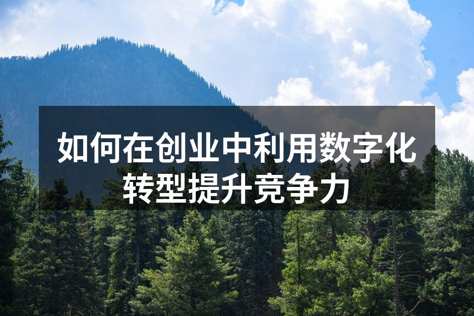 如何在创业中利用数字化转型提升竞争力