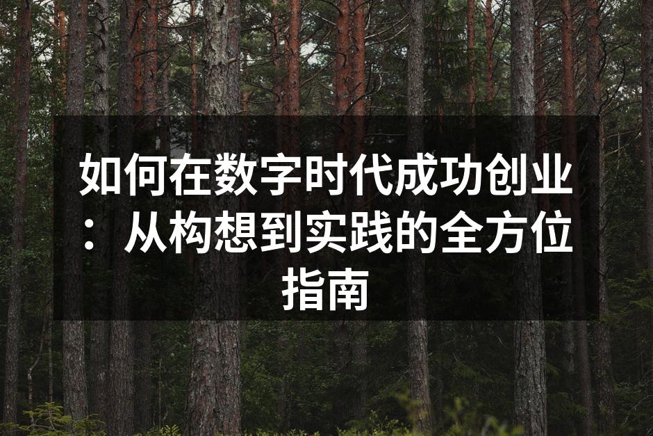 如何在数字时代成功创业：从构想到实践的全方位指南